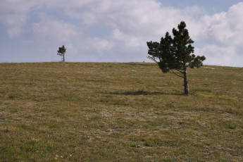 Картинка природа