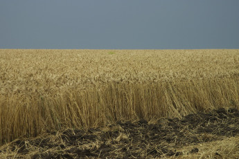 Картинка природа