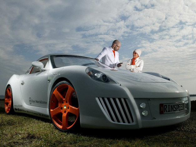 Обои картинки фото автомобили, rinspeed