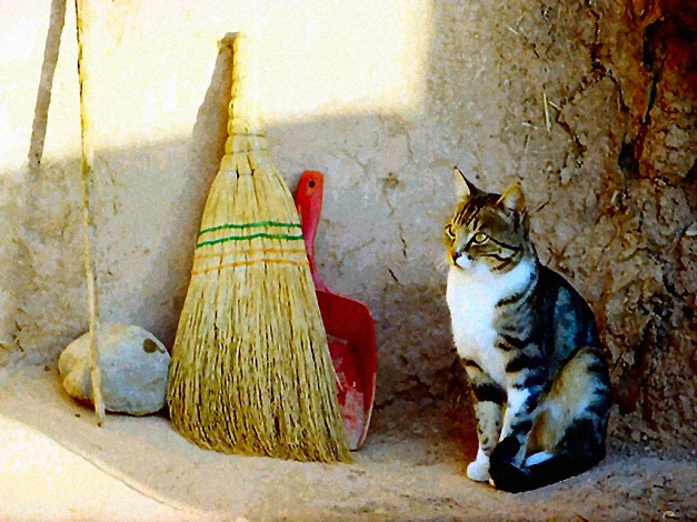 Обои картинки фото рисованные, животные, коты