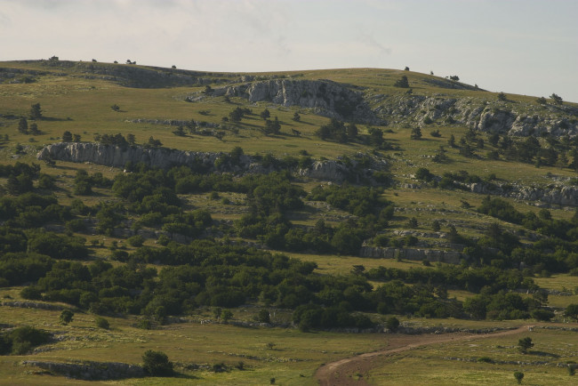 Обои картинки фото природа