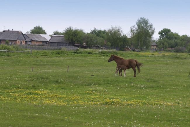 Обои картинки фото природа