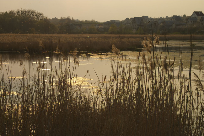 Обои картинки фото природа