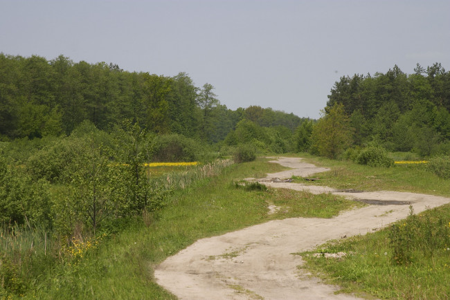 Обои картинки фото природа