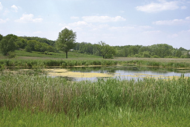 Обои картинки фото природа