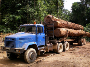 Картинка 6443 автомобили краз