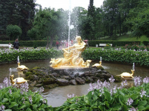 Картинка города санкт петербург петергоф россия