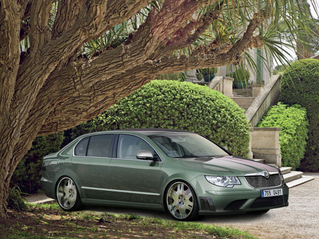 Обои картинки фото автомобили, skoda