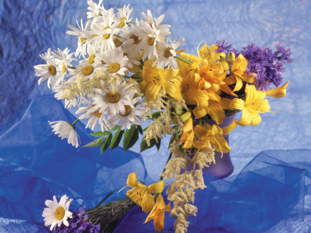 Обои картинки фото цветы, букеты, композиции