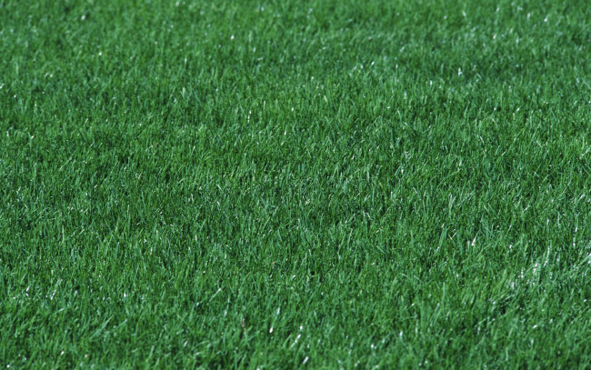 Обои картинки фото природа