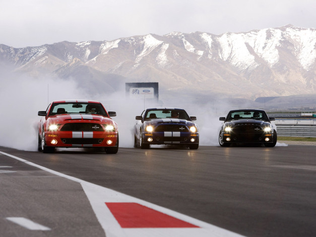 Обои картинки фото автомобили, mustang