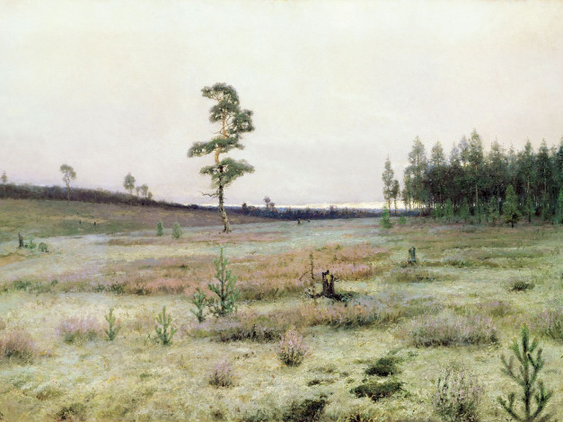 Обои картинки фото иван, ендогуров, рисованные