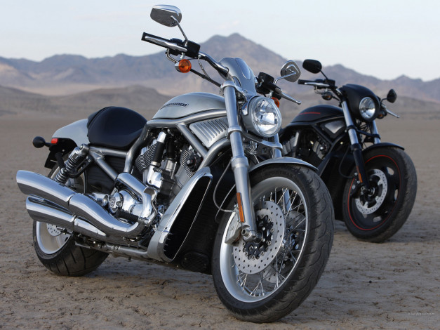 Обои картинки фото мотоциклы, harley, davidson