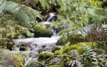 Картинка природа реки озера