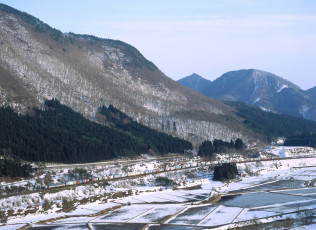 Картинка природа горы лес снег