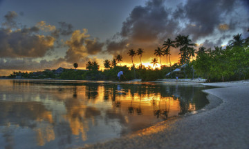 Картинка природа тропики закат