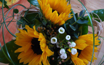 Картинка цветы букеты композиции подсолнухи зелень