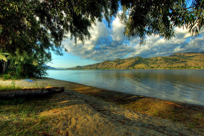 Обои картинки фото природа, реки, озера, берег, вода, деревья