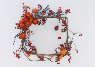 Картинка цветы букеты композиции ягоды калина ветки