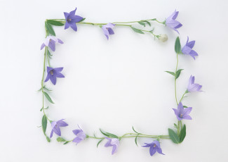 Картинка цветы колокольчики венок