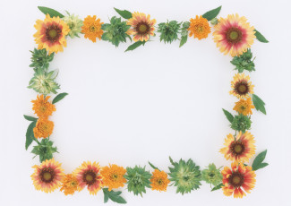 Картинка цветы разные вместе листочки