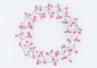 Картинка цветы венок