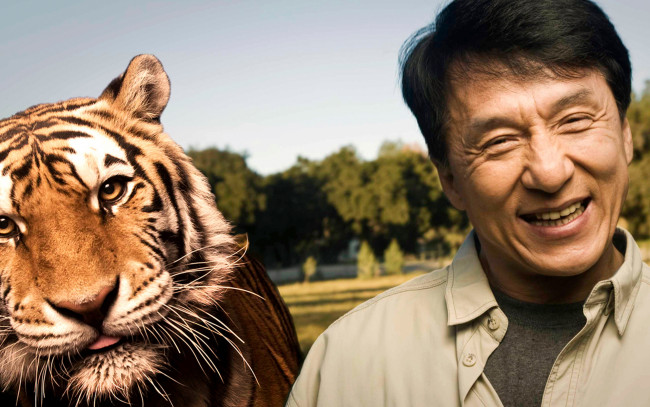 Обои картинки фото jackie, chan, мужчины, актер, улыбка, тигр