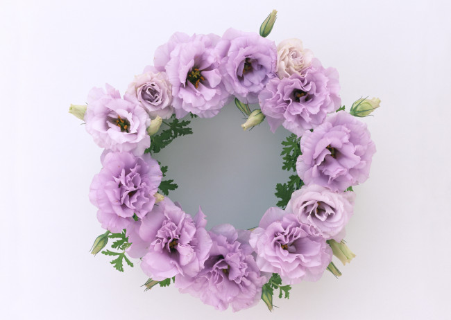 Обои картинки фото цветы, эустома, листочки