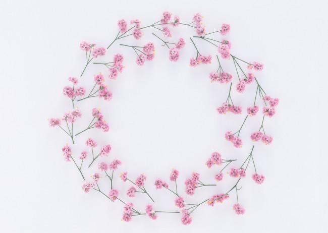 Обои картинки фото цветы, венок