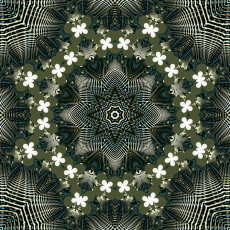 Картинка 3д+графика fractal+ фракталы узор фон цвета