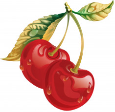 Картинка векторная+графика вишни листочки