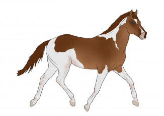 Картинка рисованные животные +лошади лошадь