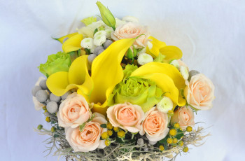 Картинка цветы букеты +композиции розы каллы букет астры лютик