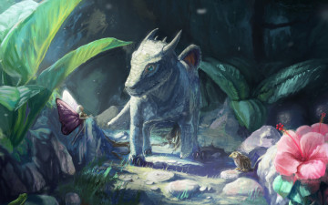 Картинка фэнтези драконы дракончик птица детеныш лягушка фея дракон арт