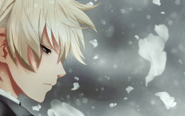 Обои картинки фото аниме, *unknown , другое, парень, лепестки, профиль, лицо