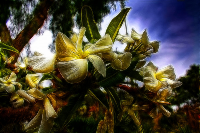 Обои картинки фото jungle flowers, разное, компьютерный дизайн, деревья, цветы, джунгли