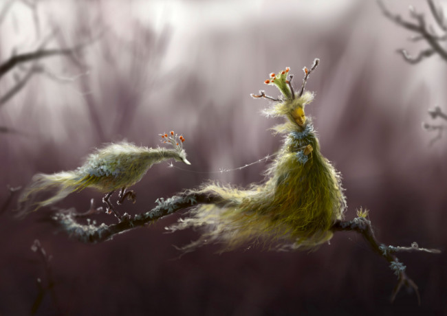 Обои картинки фото gianna ragagnin, фэнтези, существа, gianna, ragagnin, ветка, фея, птица, павлин