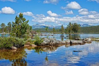 Картинка природа реки озера река лес