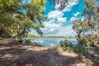 Картинка природа реки озера река лес