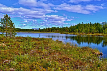 Картинка природа реки озера река лес