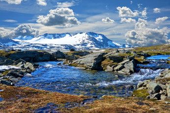 Картинка природа реки озера река лес