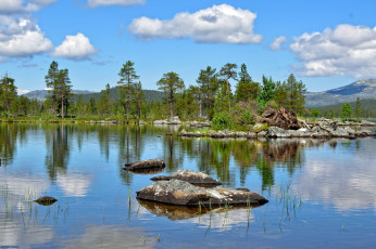 Картинка природа реки озера река лес