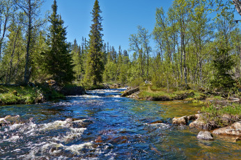 Картинка природа реки озера река лес