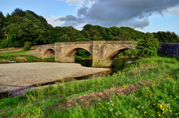 Картинка природа реки озера река лес