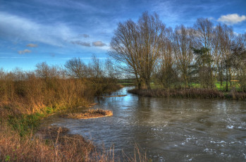 Картинка природа реки озера река лес