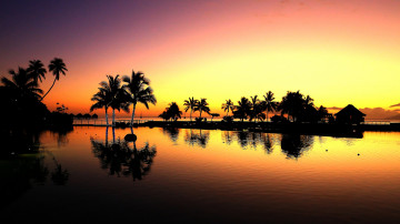 Картинка природа тропики рассвет