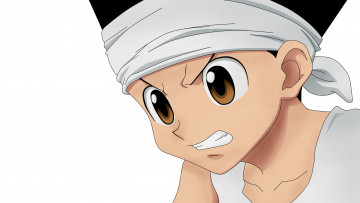 Картинка аниме hunter+x+hunter gon freecs гон фрикс мальчик