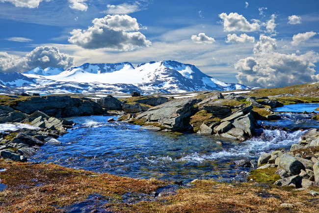 Обои картинки фото природа, реки, озера, река, лес