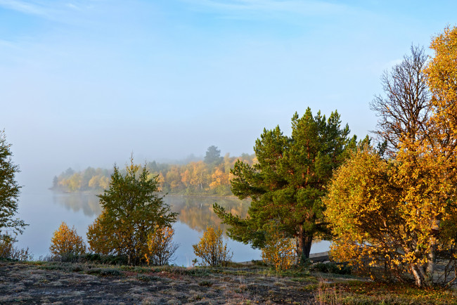 Обои картинки фото природа, реки, озера, река, лес