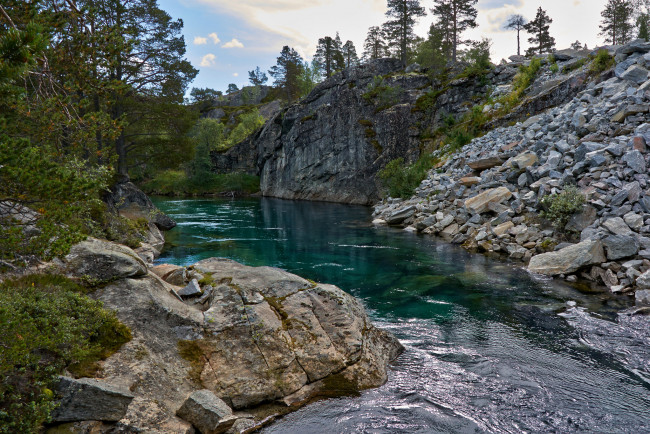 Обои картинки фото природа, реки, озера, река, лес